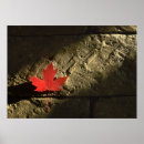 Suche nach ahornblatt poster Kanada