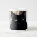 Recherche de yeux verts tasses Chat