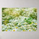 Suche nach alternative poster Schön