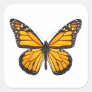 Recherche de papillon monarque orange autocollants Papillons