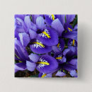 Recherche de iris bleu badges Floral