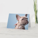 Suche nach reinrassiges tier karten Kaninchen