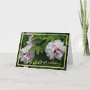 Suche nach kim karten Für sie