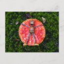 Recherche de cha cartes postales Drôle