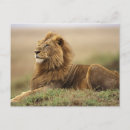 Suche nach masai postkarten Afrika