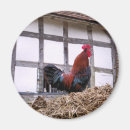 Suche nach rooster magnete Geflügel