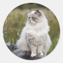 Suche nach tier aufkleber Foto hinzufügen