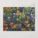 Suche nach texas landschaft poster Bunt