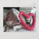 Suche nach zitate über hunde poster Foto