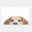 Recherche de sympa posters Moderne