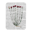 Recherche de italien magnete Carnation