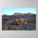 Suche nach lava poster Insel