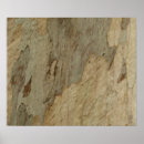 Suche nach baumrinden poster Holz