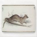 Recherche de 19ème tapis souris Edward