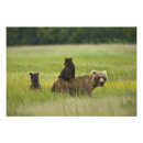 Suche nach klammern poster National