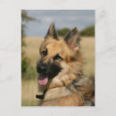 Recherche de deutscher cartes postales Bob et pam langrish