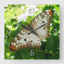 Suche nach tropischer schmetterling kunst Natur