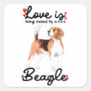 Recherche de beagles cadeau emballages Beagle mignon