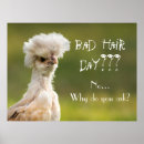Suche nach chicken poster Farm animal