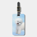 Recherche de coton tulear accessoires Chien