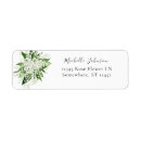 Recherche de white fleur de lis Floral
