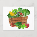 Suche nach gaertner postkarten Tomaten