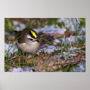 Recherche de couronne art Oiseau