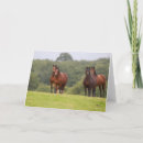 Suche nach ponys karten Bob langrish