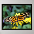 Suche nach gro poster Natur