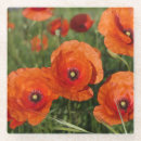 Suche nach mohnblumen untersetzer Blüte
