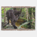 Suche nach schwarzer panther decken Katze