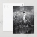 Recherche de monochrome cartes postales Blanc noir