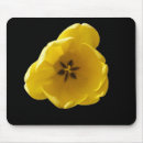 Recherche de jaune tulipe tapis souris Fleurs