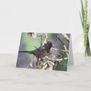 Suche nach sperling karten Vogelbeobachtung