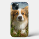 Suche nach corgi iphone hüllen Niedlich