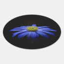 Recherche de blue daisy autocollants Marguerie