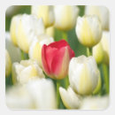 Suche nach marions aufkleber Blume