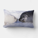 Recherche de phoque coussins Faune