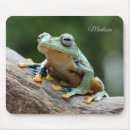 Recherche de grenouille électronique Cool