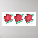 Recherche de fleurs de ketmie posters Plage