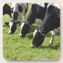 Suche nach weide untersetzer Weiden lassen