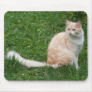 Suche nach knuddelig mousepads Kitty