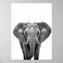 Suche nach animal kinder poster Safari