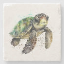 Suche nach schildkröten untersetzer Ozean