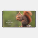 Suche nach eichhörnchen mousepads Fotografie