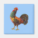 Recherche de coq vintage magnets Poulet