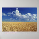 Recherche de ergenbright ric posters Feuillage