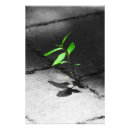 Recherche de adaptée posters Nature
