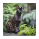 Suche nach stammbaum fliesen Haustier