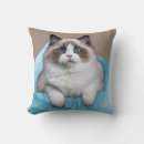 Recherche de ragdoll coussins Amoureux des chats